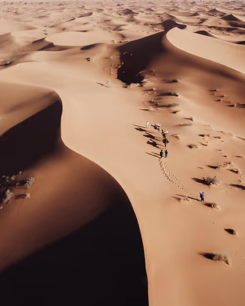 Item #86385672013831146465548650078662187187055141490040132723525304217147277312001 Media