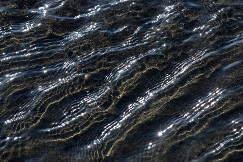 Item #81441334517361708208394031135700195474624799851237506988747108043663039528961 Media