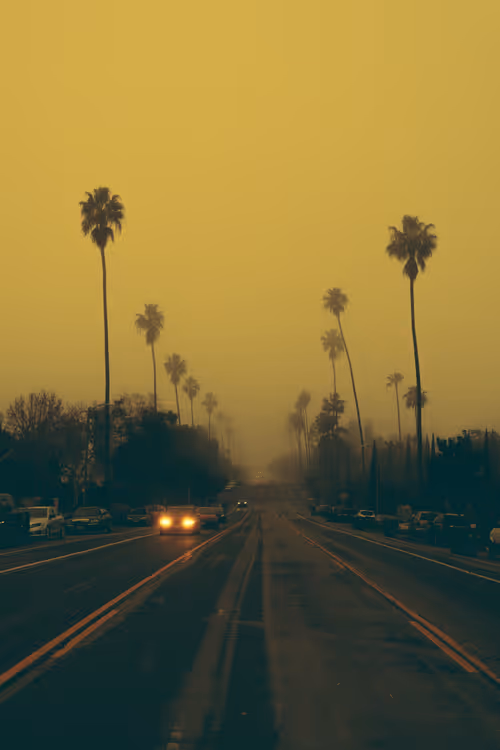 Item #35557780727049604459658880725917592814256363748111026780455796777195313037313 Media