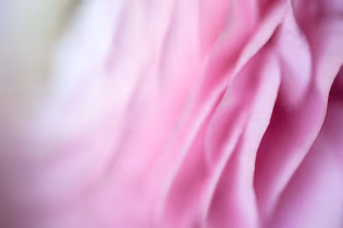 Item #24632583837492670092599633934589483131746797002802219579488358151431636647937 Media