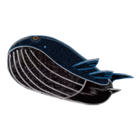 Item #18199326914555775863013966940049497585872399863165926151239947639929608077313 Media