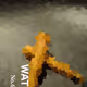 112901328758591536811638678805019270310024114958917821241935947364237483966465