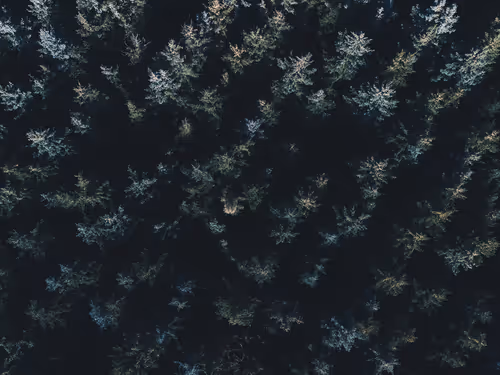 Item #23345795810903868231652403688740103220345073387888217764952747016077512278017 Media