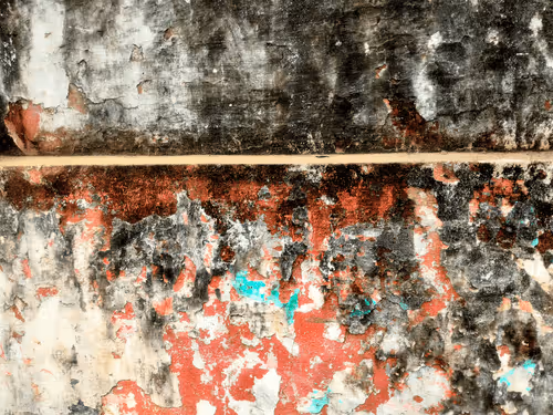 Item #77837778009088564188174628045169397065653229955612462896383264961529473138689 Media