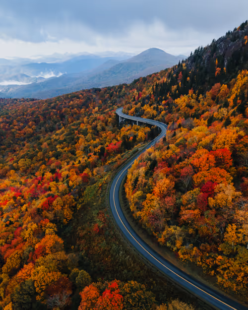 Item #11724833867030775132241085553592039053623098659522650139885247783379971080193 Media