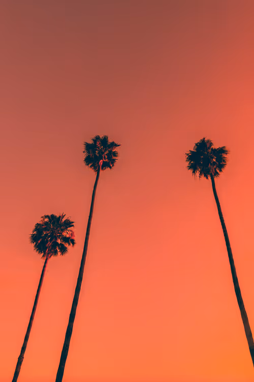 Item #35557780727049604459658880725917592814256363748111026780455796849763080470529 Media