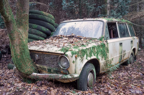 Item #48137969834760964202008615445069010109172114455099533143483873212524595773441 Media