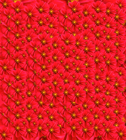 Item #108732538262654794566822566020253249932785486253037348318520768367208876212225 Media