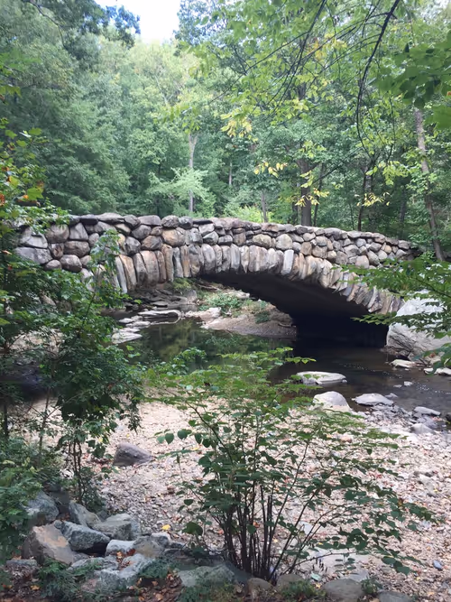 Item #28983806154019988982234389122970285076439486341566149619179108658711608950785 Media