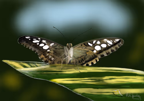 Item #39421720859211354598059957797071189726995094898407091321274451939673675661313 Media