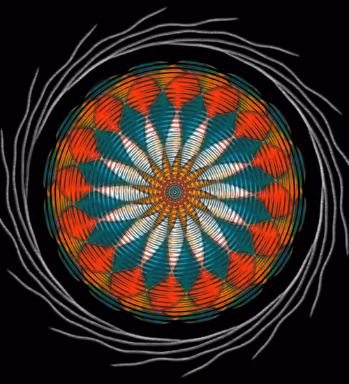 Item #26185187814367725376940026929040218982398144969044494291860281298353934827521 Media