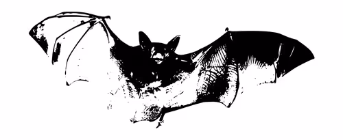 Item #32280227684796633281509489685107784796052920964773961429317660093698709389313 Media