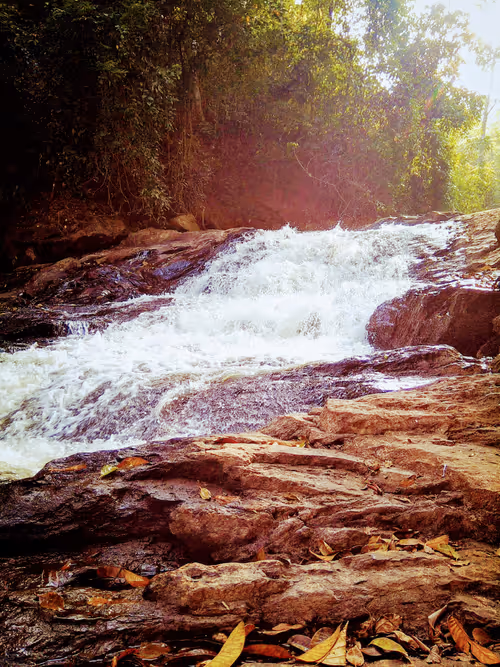 Item #35163100553252135629618575143351731354868618321771378884589416424594726715393 Media