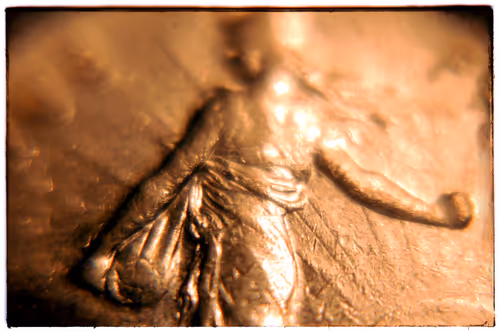 Item #69162624818893476726320652115504039379627805046684483177886999800352553828353 Media