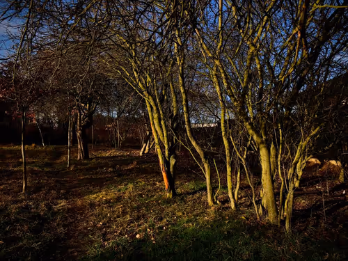 Item #27968267673107662766420978361214962595577400809433228947412730580173429145622 Media