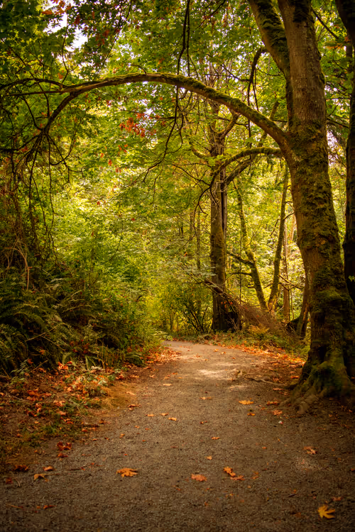 Item #82666956697073059935250471949023285858624698901330742305278420805292159664129 Media