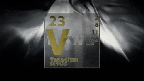 Item #39304976709169119279899997688255062426299701791693190981684281752755325894794 Media