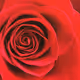 35547100278351488731763920705704692290777172266042510105310327000494822653953