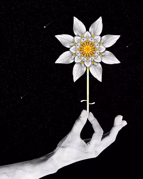 Item #39579845202103003613433969065529984939294887442875588777262424401174897623041 Media