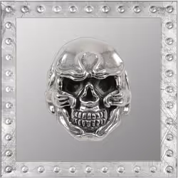 44746194182793400912343588997340986758940336322370103626433839487160407818241