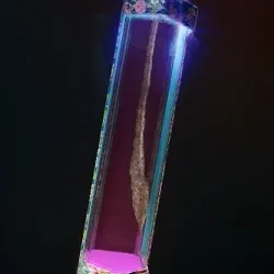 47706624671672796925279676176814738756292518966702467713381473669181654171649