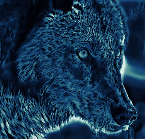 Item #22623297383426892917101335270761698949847758593200202890070986140123641413633 Media