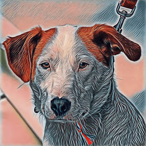 Item #51313302132644519913343847646347811445510524411913136629935893355714194702337 Media