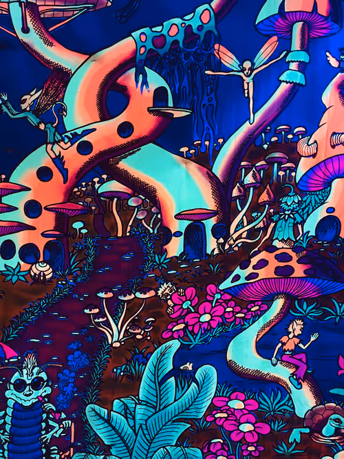 Item #30740302589079776519759082537500895011913059495583463667508883384657992744961 Media