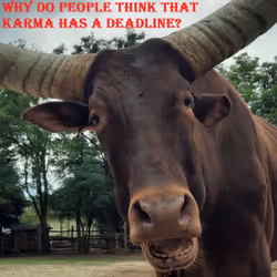 51313302132644519913343847646347811445510524411913136629935896437645287358465