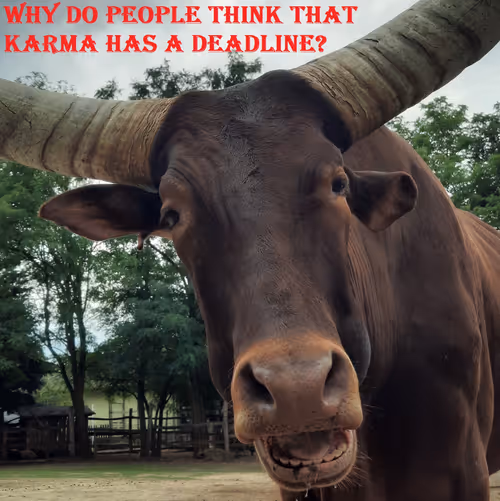 Item #51313302132644519913343847646347811445510524411913136629935896437645287358465 Media