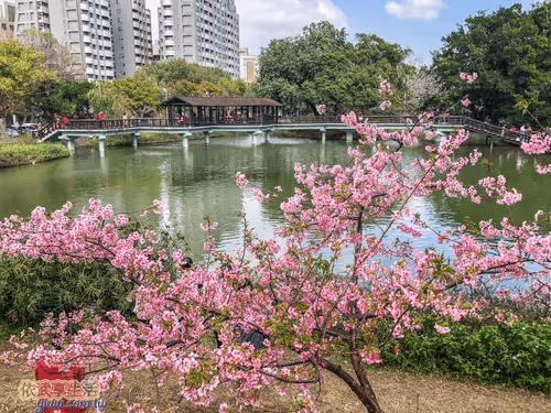 Item #100744422725674417057824683306763013505668843176654858816283483934031536455681 Media