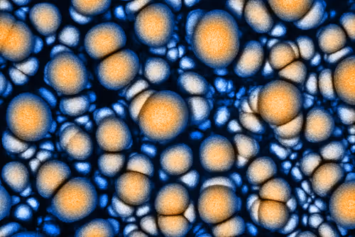 Item #115505927728344181025262329658899620468765138243295584093365708405596869361665 Media