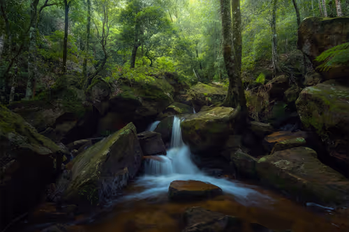 Item #112241139933589088795661151874445265147488650533013612432304602919922477039617 Media