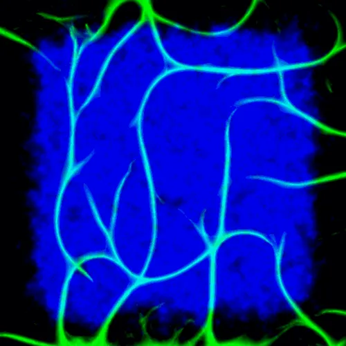 Item #51929734946411346289540790635765095060363125039145709683616697052903612874753 Media