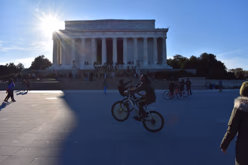 Item #27210800778611294202640746041374417692025498672639146072924104597023462785025 Media