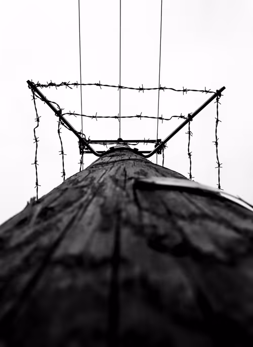 Item #13808566049018172029737959666096611307400355353841900688345406267608094736385 Media