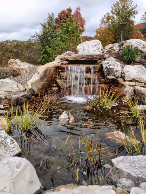 Item #7142574194470404243392590672179659391968725900228458481778768103440025387009 Media