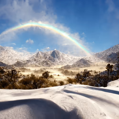 Item #82527419430776432677609198489525539692500095051269265648102109311193728417797 Media