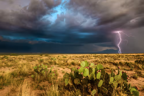 Item #95204431680649181601528738578851453896688564435428028381601595518430415421441 Media