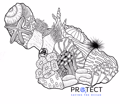 Item #61766932903347958731953246728131449434683822553701043197731977567246124843009 Media