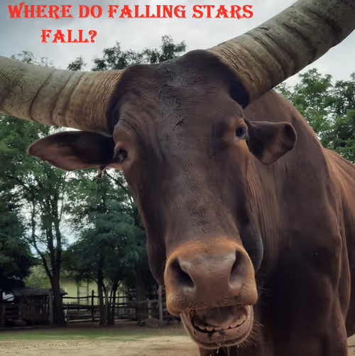 Item #51313302132644519913343847646347811445510524411913136629935896323296078069761 Media