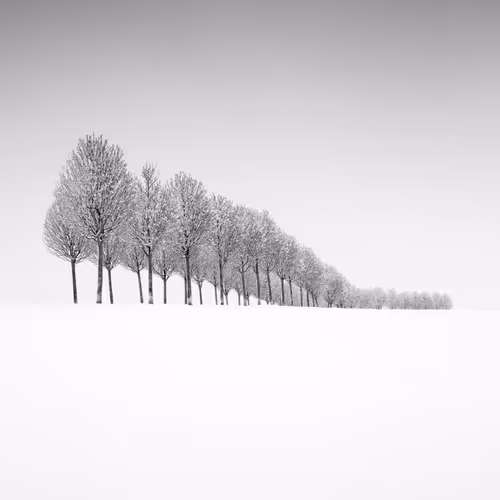 Item #101547054933813335062644925459541226737619958059144835271274916332238039678977 Media