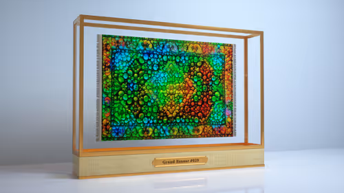 Item #27932043703164775465448161158798542152287049898113275125220276231721822715905 Media