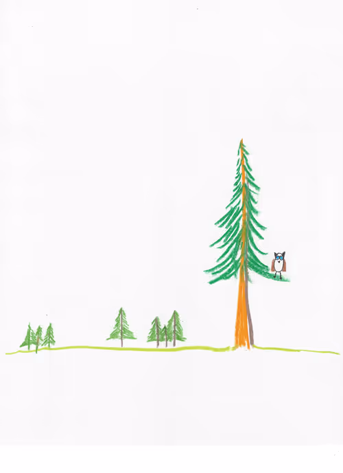 Item #23218060550821745609800623272602319113326301581644647180881602209723900231681 Media