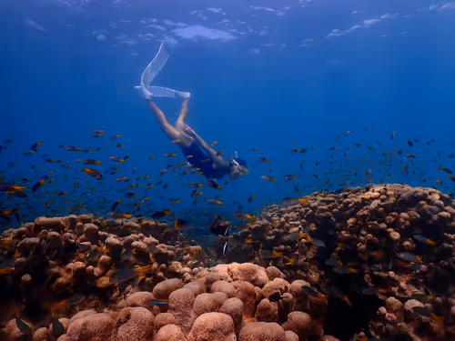 Item #32575491891525692508284411089073295742711796579375446376791742185440072957953 Media