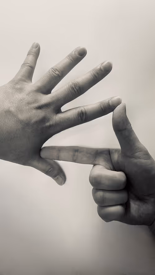 Item #113754615972510472199591471635439738950418502801926004552736776201482448928769 Media