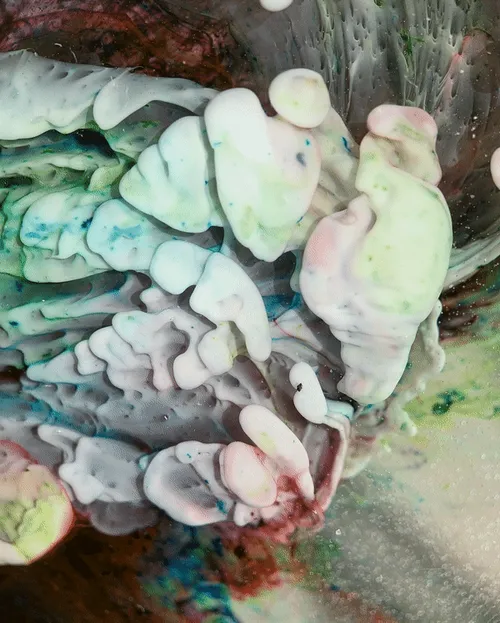 Item #199348557745545512943347160139758734699136135801198035903809521324088360961 Media