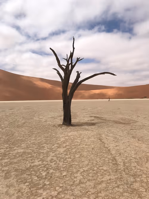 Item #28983806154019988982234389122970285076439486341566149619179108659811120578561 Media