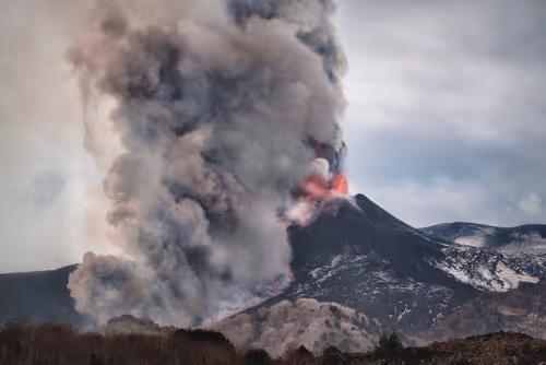 Item #29665505459776512063151611391641042533234332755845632920050768278455278632961 Media