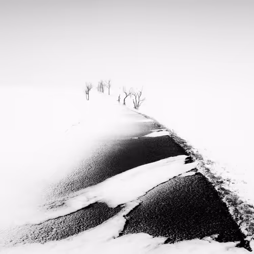 Item #101547054933813335062644925459541226737619958059144835271274916325640969912321 Media